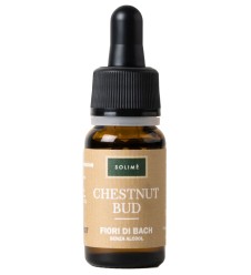 CHESTNUT BUD 10ML