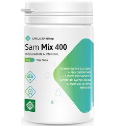 SAM MIX*400 60 Cps