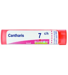 CANTHARIS 7CH GR