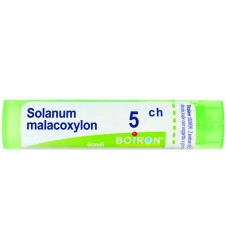 SOLANUM MALACOXILON 5CH GR