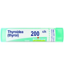 THYROIDINUM 200CH GR