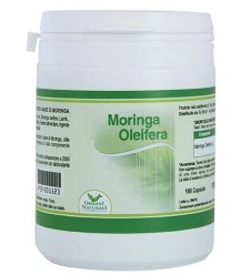 MORINGA 180CPS