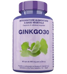 BIOGINKGO BIL.60 Cps BIOSALUS