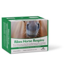 RIBES HORSE RESPIRO 30BUST