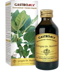 GASTROMIX Liq.Analc.100ml