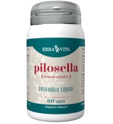 PILOSELLA 60 Cps 350mg     EBV