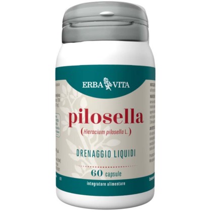 PILOSELLA 60 Cps 350mg     EBV