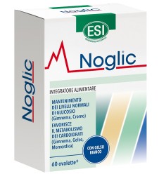 ESI NOGLIC 60OVAL