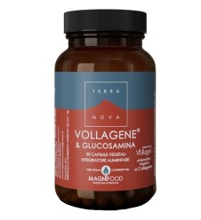 TERRANOVA VOLLAGENE&GLUC 50CPS