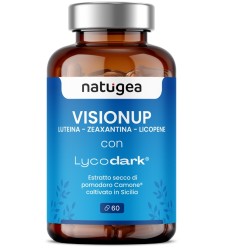 VISIONUP 60CPR