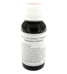 LVS 42S Fucus Vesic.Comp.60ml