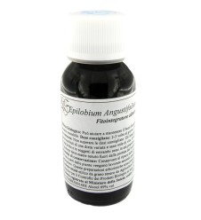 LVS 82C EPILOBIUM ANGUSTIF COM