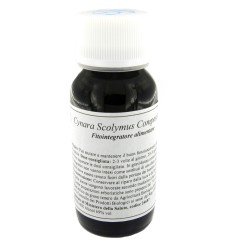 LVS 87C Cynara Scoly Cauli Cmp