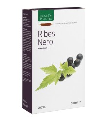 RIBES NERO BIO 20AB 15ML