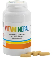 VITAMINERAL 30CPR