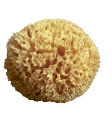 SPUGNA ARCIPELAGO MED NAT 12 SPUGNA ARCIPELAGO MED NAT 12