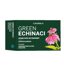 GREEN ECHINACI 36CPS
