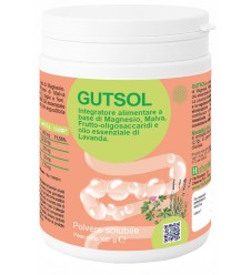 GUTSOL 100G