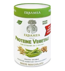 PROTEINE Veg.270g EBM