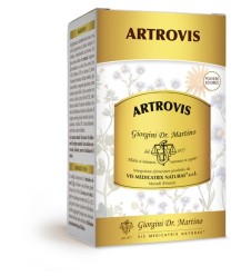 ARTROVIS Polv.Solub.360g