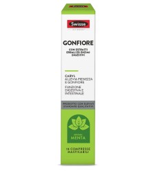 SWISSE Gonfiore 18Cpr Mast.