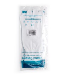 GUANTI Chir.Cot.6,1/2       FR