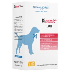 DINAMIC LARGE 20 Stick 12g