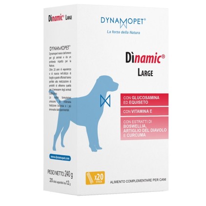 DINAMIC LARGE 20 Stick 12g