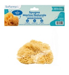 SPUGNA MARINA NATURALE MAXI SF+