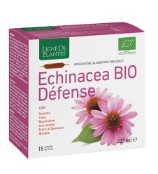 ECHINACEA BIO DEFENSE 15AMP 15