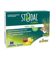 STODAL Plants 36 Past.Limone