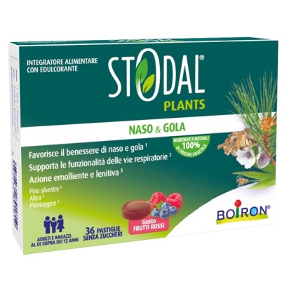 STODAL Plants 36 Past.Fr.Rossi