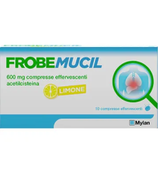 FROBEMUCIL 10CPR EFF 600MG