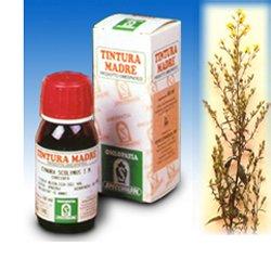 SP.SOLIDAGO VI.AUR.TM 50ml