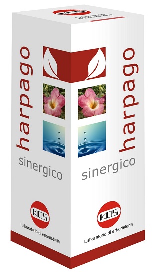 HARPAGO SINERGICO GTT 100ML KOS
