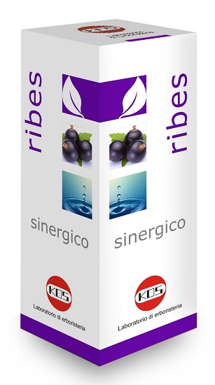 RIBES SINERGICO 100ml KOS