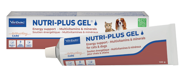 NUTRIPLUS GEL Premiscela 120g