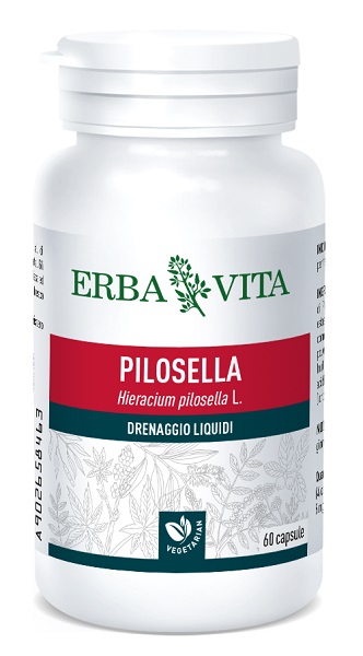 PILOSELLA 60 Cps 350mg EBV