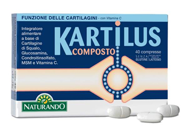 KARTILUS Composto 40 Cpr