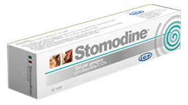 STOMODINE Gel Gengiv.Cani 30ml
