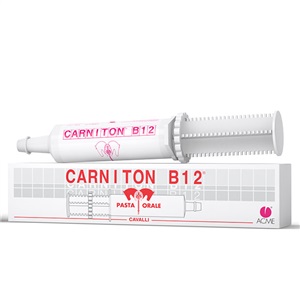 CARNITON B12 Pasta Sir.100g