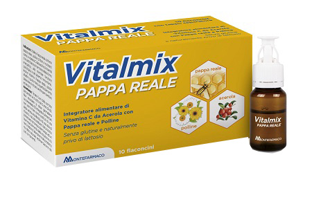 VITALMIX PAPPA REALE 10 FLACONCINI 10ML SENZA GLUTINE