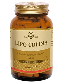 LIPO COLINA 100 Cps 100mgSOLGA