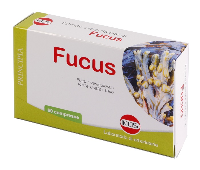 FUCUS ESTR SEC 60CPR