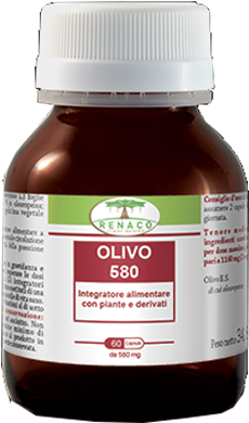 OLIVO*580 60 Cps
