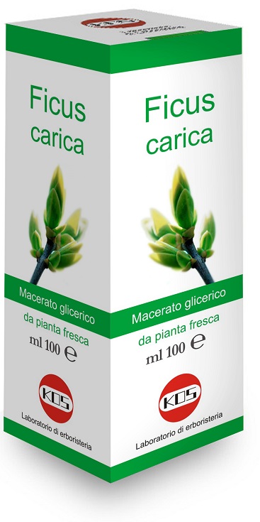 FICUS CARICA MG Gtt 100ml KOS