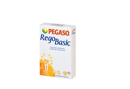 REGOBASIC 12 Bustine PEGASO
