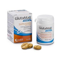 GLUTAMAX Fte 20 Cpr