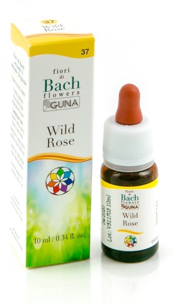 HE.WILD ROSE GUN GTT 10ML F.BA