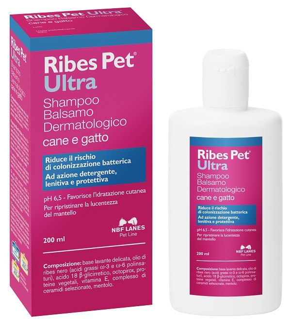 RIBES PET Ultra Sh-Bals.200ml